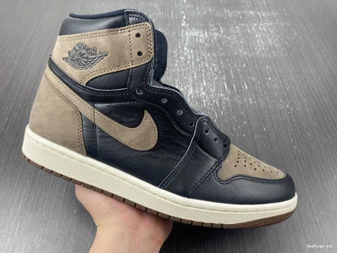 High  Retro 1   Palomino DZ5485-020 OG Jordan 0213